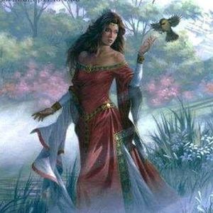 Meet your Posher, Eve